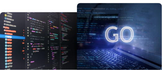 Golang Development Company In Canada golang development company in canada